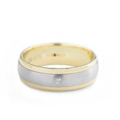 0.04ct Two Tone Satin Centre &amp; Polish Edge Single Natural Diamond Band In 9ct White Gold - S image