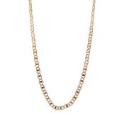 Twisted Rope Anchor Chain Necklace in 9ct Yellow Gold image