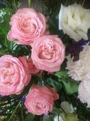 Flowers Deposit/Payment