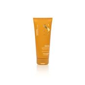 Alfaparf Semi di Lino Sunshine After Sun Treatment