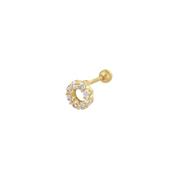 ear piercing circle image