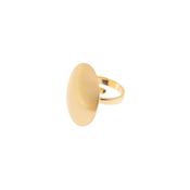 aquaforte i classici ring with satin-finished oval element. adjustable sizes image
