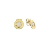 aquaforte nuova retro mother of pearl round inset earrings image
