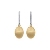 aquaforte i bicolore  brushed small oval with curved encrusted cz earrings image