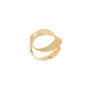 aquaforte lune ring with brushed head image