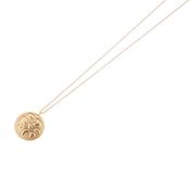 aquaforte animalier necklace with brushed and polished small size pendant image