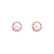 ted baker-sina rose gold tone pearl stud earring image