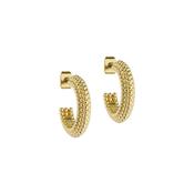 ted baker dotetta: dotty hoop earrings gold tone