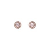 ted baker soletia: solitaire sparkle crystal stud earrings rose gold tone,rose crystal image