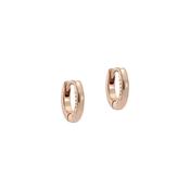 ted baker crisete: logo hoop 10mm earrings rose gold tone