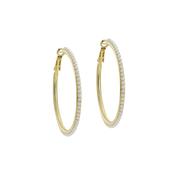 ted baker perla: large pearl hoop earrings, gold tone, pearl image