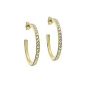 ted baker clanci: medium crystal gold tone hoop earrings