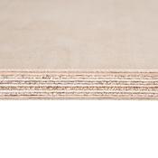European Birch Plywood BB/BB 2440mm x 1220mm 12mm