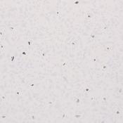 Neptune 1000 White Sparkle Panel 1m x 2.4m
