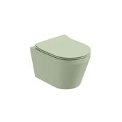 Living Wall Hung Toilet &amp; Soft Close Seat Parkland image