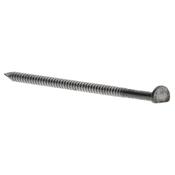 Paslode Bright Ring Shank Nails 3.1 x 75mm image