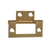 Phoenix Eb Flush Hinge 60mm image