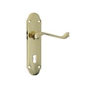 Fortessa Handle Vista Polished Brass Privacy image