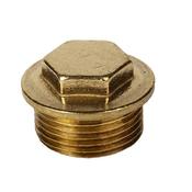 074 Brass Blanking Plug 1" image