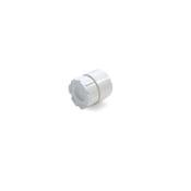 Waste Access Cap White 2" 50mm image