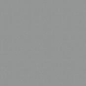 Kronospan Worktop Platinum  image