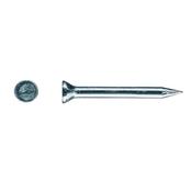 Rawl R-MNL Masonry Nails 2.5x30mm [Box Of 20] image
