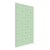 12.5mm Gyproc Moisture Board 1200mm x 2400mm image