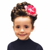 Camelia Rose Anne Bun Wig image