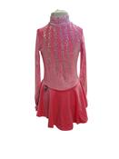 Pink Velvet Dress No 19 image