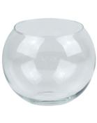 Fish Bowl / Centrepiece
