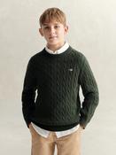 GANT Shield Sweater - Green image