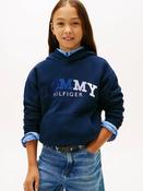 Tommy Hilfiger Embroidered Hoodie