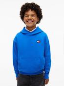Tommy Hilfiger Heritage Flag Hoodie - Blue