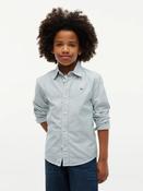 Tommy Hilfiger Striped Oxford Shirt - Green image