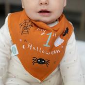 Ziggle My 1St Halloween Bib
