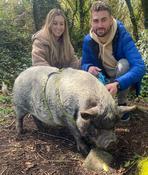 Private Fairy Pig Walk with Emilia | Kinvara, Galway