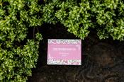 Moher Soap - Wild Rose