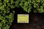 Moher Soap - Burren Meadow
