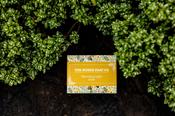 Moher Soap - Morning Light