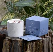 Rosehip &amp; Bramble Leaf Ceramic Candle image