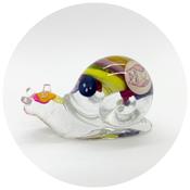 Button Snail