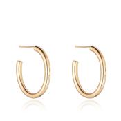 25MM ROUNDED OVAL HOOP image