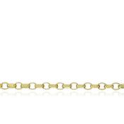 9ct Yellow Gold Belcher Oval Filed Chain Necklace