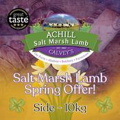 Side of Salt Marsh Offer 2026