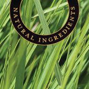 Citronella &amp; Rosemary - Lamp Fragrance Oil 500ml image