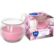 Delicate Blossom - Scented Candle in Glass