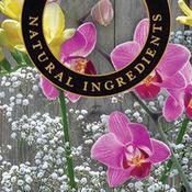 Freesia &amp; Orchid - Lamp Fragrance Oil 500ml image