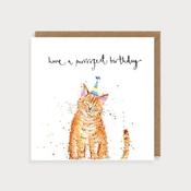 Purrrrfect Birthday Cat image