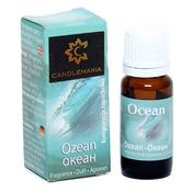 Ocean Fragrance Oil image