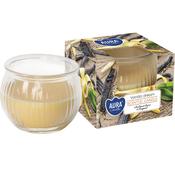 Vanilla Dream - Scented Candle in Glass image